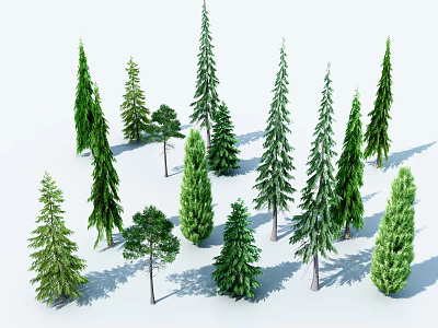 Various Arbor Trees With Pine Fir And Green Foliage In Different Heights On White Background 3d model