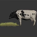 Black and White Spotted Cow Standing on Green Grass with Simple Background