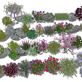 Colorful Garden Flowers And Various Plants With Vibrant Blooms And Stones