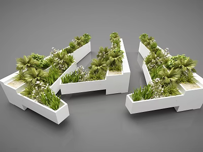 Bonsai Potted Plants Arranged In Modern White Planters With Green Foliage 3d model