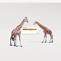 Two plastic giraffe models standing face to face on white background
