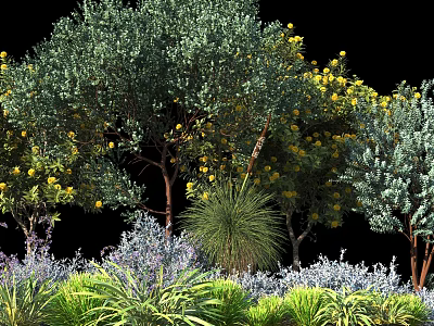 Lush Garden Shrubs With Yellow Flowers And Mixed Green Purple Foliage 3d model