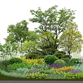 Lush Garden Landscape Featuring Tall Trees Shrubs and Colorful Flower Beds