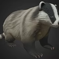 Realistic Badger With Black White Facial Stripes Thick Gray Fur And Stocky Build
