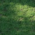 Lush Green Grass Lawn With Fresh Natural Texture For Outdoor Background