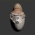 Nautilus Marine Animal with Brown White Striped Shell and Orange Spotted Tentacles