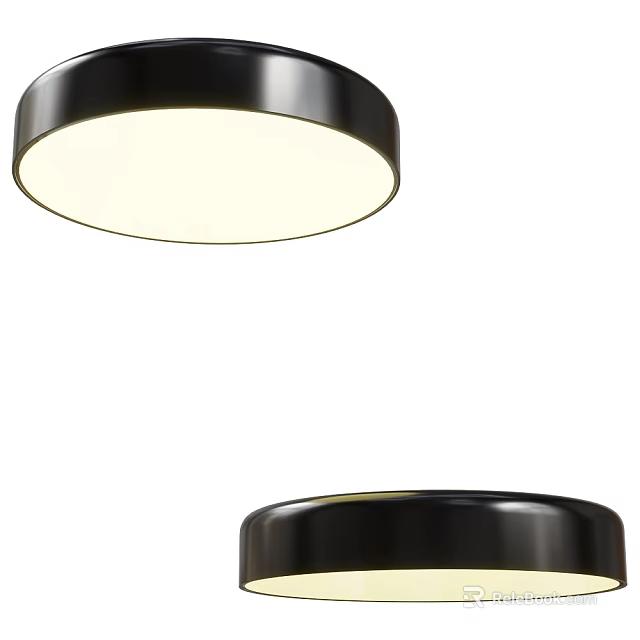 Modern Round Black Ceiling Light Featuring White Luminous Shade For Home 3d model
