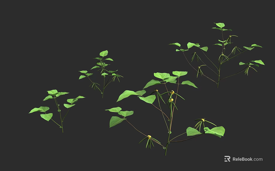 Green Leafy Shrubs Featuring Various Branch Structures And Natural Growth Habits 3d model