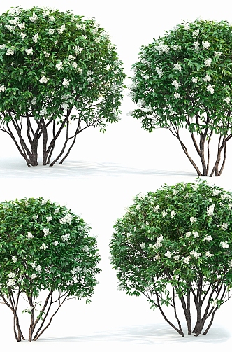 Shrubs Greening Plants Outdoor Flowers Grass Shrubs Greening Tree Landscape 3d model