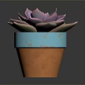 Rosette Shaped Succulent Plant With Pinkish Purple Leaves In Blue And Orange Pot