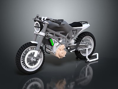 Motorcycle Two-wheeled Motorcycle Cross-country Motorcycle Road Race Motorcycle Motor Vehicle Transport 3d model