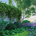 Lush Shrubs With Green Plants And Purple Flowers By Stone Wall With Ivy And Trees
