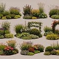 Beautiful Assorted Flowers and Green Plants Including Shrubs and Vines for Garden Landscaping