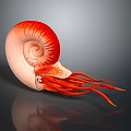 Red Reptile Featuring Spiral Shell and Long Tentacles on Dark Surface 3d model