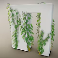Lush Green Vines Growing On White Structure With Hanging Leaves And Small Yellow Flowers