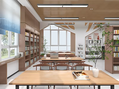 Book Art Inspired Library Interior With Shelves Natural Light And Plants 3d model
