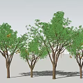 Illuminated Arbor Trees With Blue Light Decorations On Branches Trunks And Dark Night Sky
