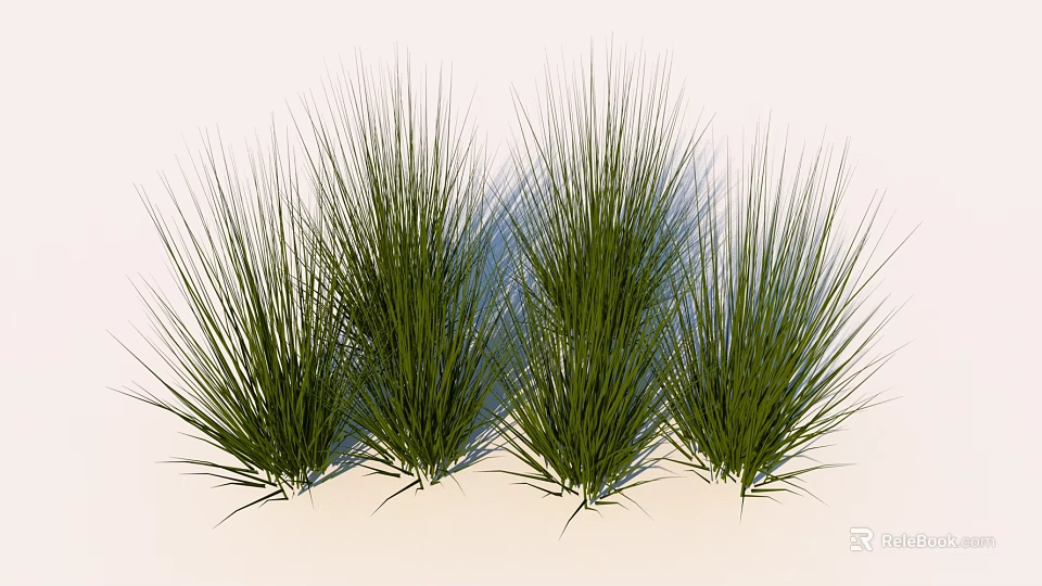Green Decorative Grass Clumps With Neat Arrangement And White Background 3d model 