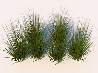 Green Decorative Grass Clumps With Neat Arrangement And White Background 3d model