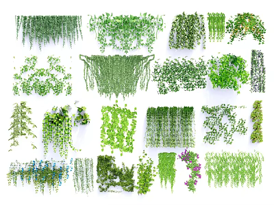 Different Types of Decorative Vines Hanging Climbing and Trailing Greenery for Home Garden Decoration 3d model
