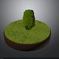 Decorative Garden Scene With Green Lawn And Central Cone Trimmed Shrub On Round Red Base