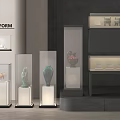 Modern Display Shelves With Glass Cases Illuminated Bases For Artwork