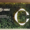 Living Plant Wall Featuring VIBRA Surreal Focus And White Circular Design In Interior