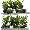 Modern Tree Planter With Lush Green Plants Large Leaves White Flowers And Decorative Lights