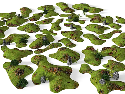 Natural Garden Landscape With Irregular Mossy Patches Stones And Small Plants 3d model