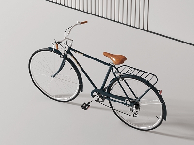 Bicycle model