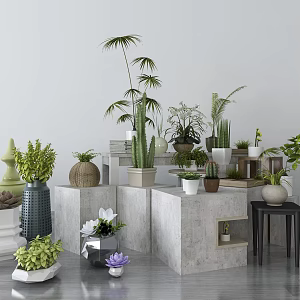 modern potted plant potted plant 3d model