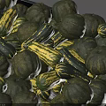 Wooden and Stone Decorative Tray Holding Green Pumpkins and Yellow Ropes