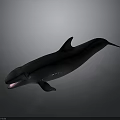 Black Whale With Open Mouth And Sharp Teeth 3D Rendered On Gray Background