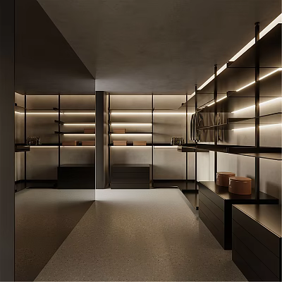 Modern Walk in Closet Interior With Glass Door Cabinets And Built in Lighting 3d model