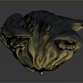 Fantasy Game Movie Character Head With Floral Flame Like Ornaments And Gold Green Brown Textured Surface