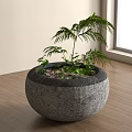 Round Stone Aquarium Fish Tank With Green Aquatic Plants On Wooden Floor By Window