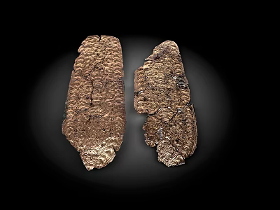 Two Ancient Artifacts With Rough Textured Surface Displayed On Dark Background 3d model