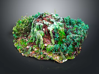 Wooden and Stone Tree Stump Adorned With Green Moss Small Plants and Natural Texture 3d model