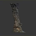 Small Plants And Moss Growing On Tree Stump Base With Natural Texture And Greenery