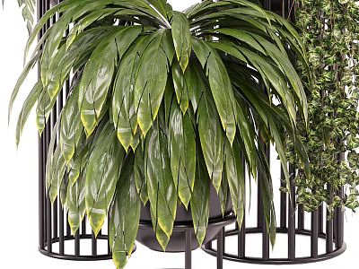 Large Green Leafy Plant On Black Metal Plant Stand For Interior Decor 3d model