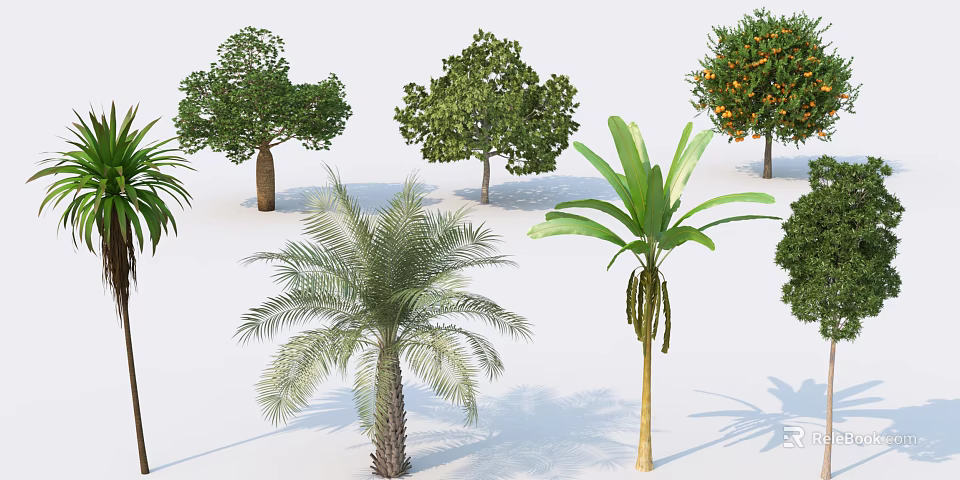 Various Types of Arbor Trees Including Palm and Fruit Bearing Varieties With Green Canopies 3d model 