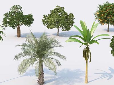 Various Types of Arbor Trees Including Palm and Fruit Bearing Varieties With Green Canopies 3d model