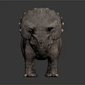 Realistic 3D Triceratops Model With Horns Frill And Detailed Skin Texture On Gray Background