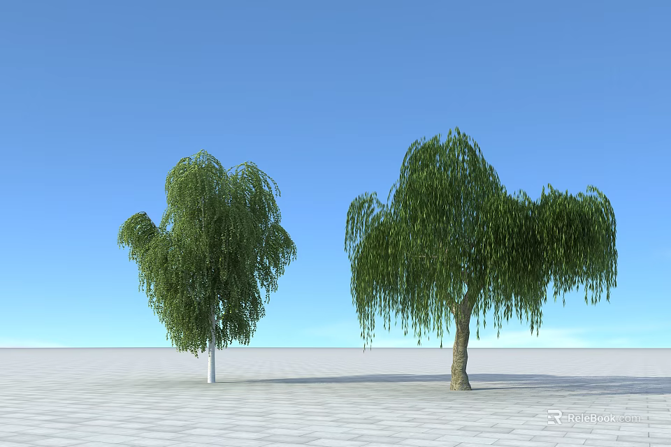 Two Graceful Willow Trees With Green Weeping Branches Against Blue Sky And White Ground 3d model 