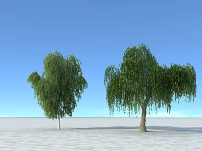 Two Graceful Willow Trees With Green Weeping Branches Against Blue Sky And White Ground 3d model