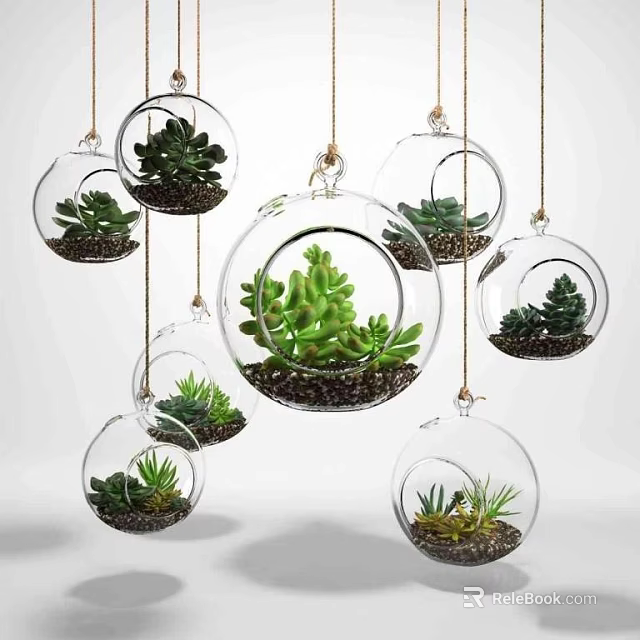 Transparent Glass Spherical Hanging Planters with Succulent Plants for Modern Home Decor 3d model 