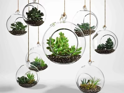 Transparent Glass Spherical Hanging Planters with Succulent Plants for Modern Home Decor 3d model
