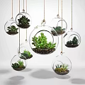 Transparent Glass Spherical Hanging Planters with Succulent Plants for Modern Home Decor