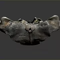 Animal Skull Sculpture With Metallic Texture Long Curved Beak And Detailed Structure Against Dark Background