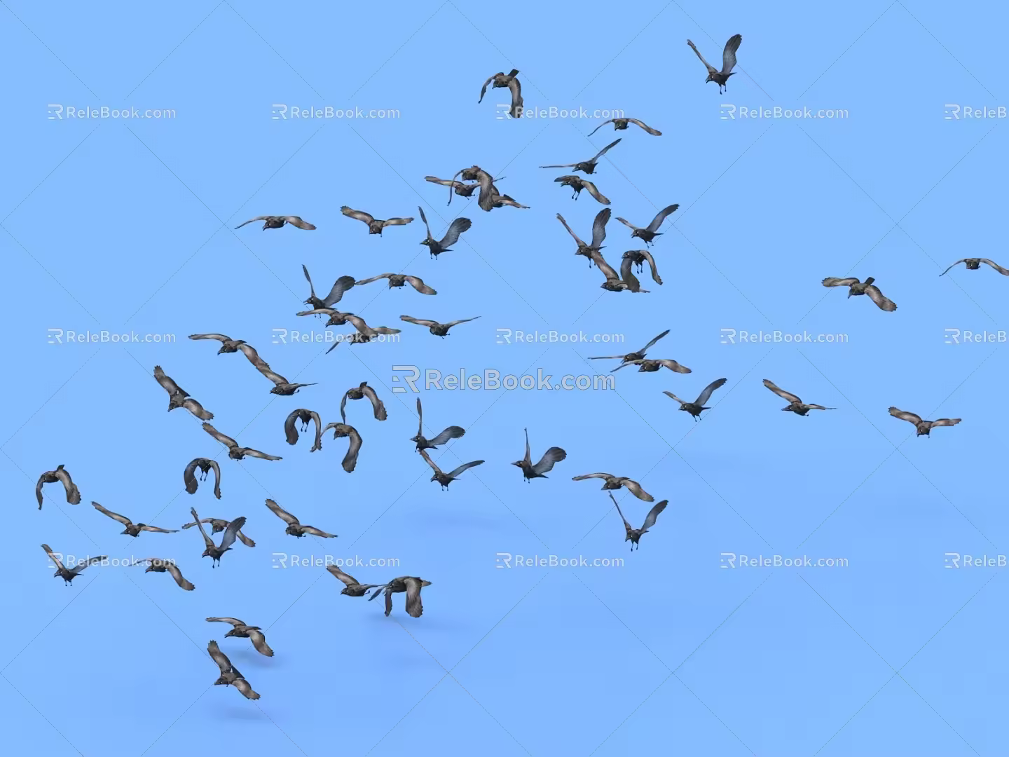 bird flock bird pigeon seagull flock bird crow flock 3d model
